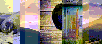 Five Image Gallery screenshot